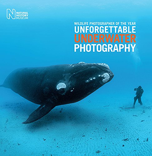 Wildlife Photographer of the Year:  Unforgettable Underwater Photography - Hardcover