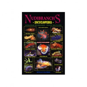 Nudibranchs Encyclopedia